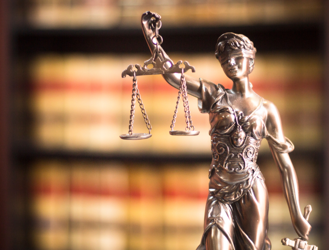 Fotografía profesional de Daniela Peñuela